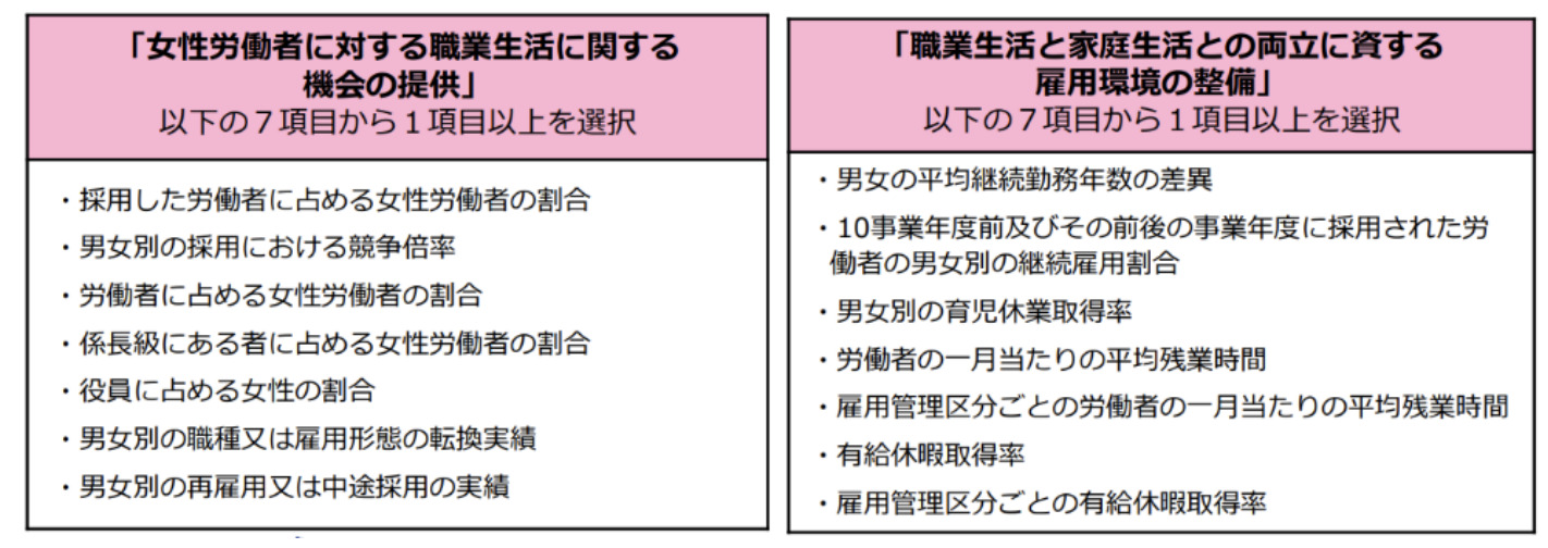 女性活躍に関する情報公表の選択項目一覧（厚生労働省リーフレットより）